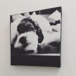 Quadro Canvas